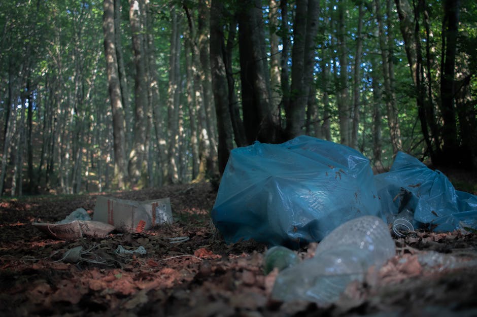 Plastic and litter in a forest, highlighting environmental pollution in Fagnano Castello, Italy.